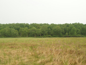 community photo